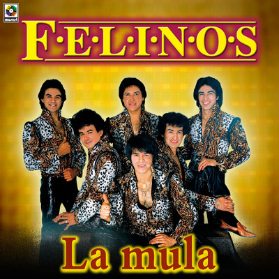 アルバム/La Mula/Los Felinos