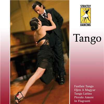 Gypsy Tango/Orchester Werner Tauber