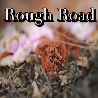 Rough Road/ayuayu