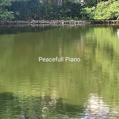 intrude/Peacefull Piano