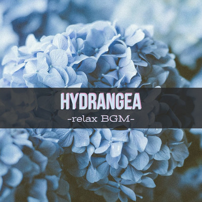 シングル/HYDRANGEA-relax BGM-/G-axis sound music