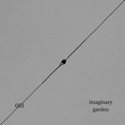 imaginary garden/053