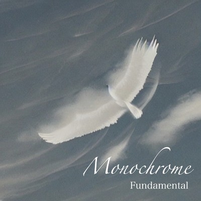 Monochrome/Fundamental