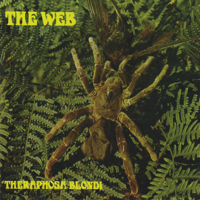 アルバム/Theraphosa Blondi/The Web