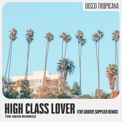 High Class Lover (feat. Jason Peterson DeLaire & St. Paul Peterson) [The Groove Supplier Remix]/The Neon Romeoz & Andreas Lundstedt