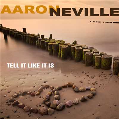 Make Me Strong/Aaron Neville