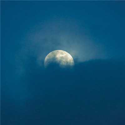 シングル/A Kiss Sent By the Blue Moonlight/Edelweiss Piano