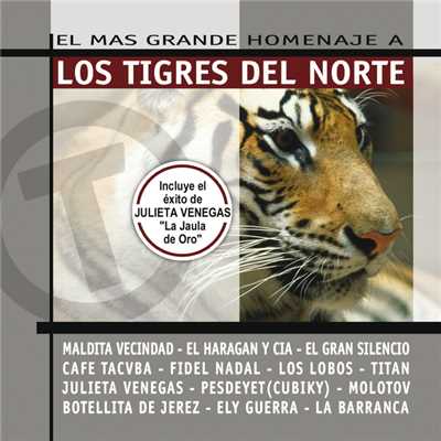 El Mas Grande Homenaje A Los Tigres Del Norte (Reissue)/Various Artists