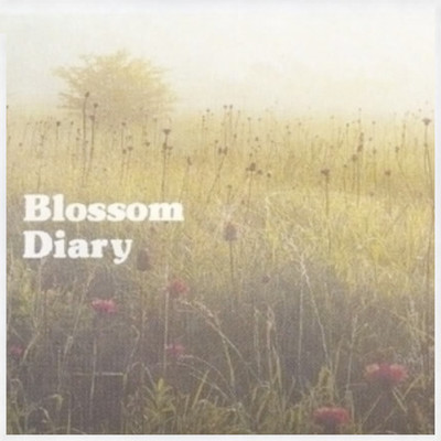 Something Should I Regret (Version 1)/Blossom Diary