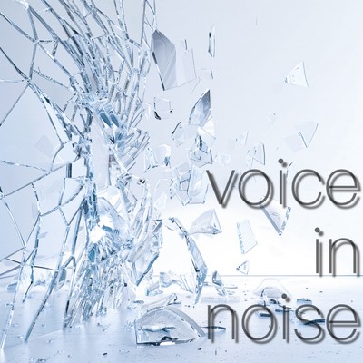 voice in noise (2024 re:Rec)/sirokunote