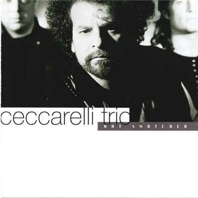 シングル/Dreaming (Instrumental)/Ceccarelli Trio