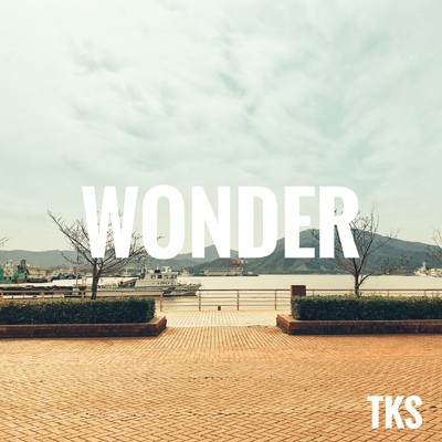 シングル/WONDER/TKS