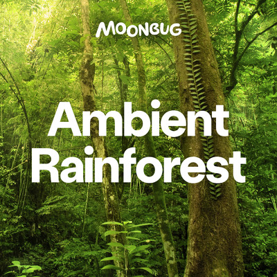 Ambient Rainforest Music/Sleepy Baby Sounds