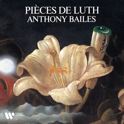Livre de tablature des pieces de luth, Suite No. 2 en re: Sarabande II/Anthony Bailes
