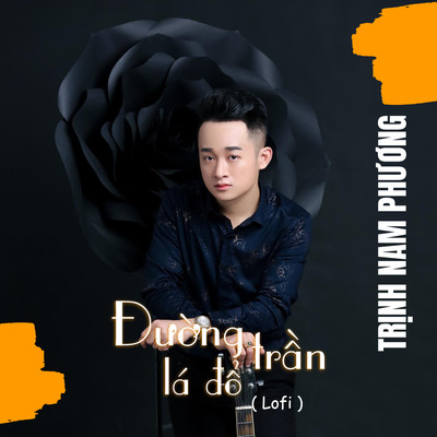 シングル/Duong Tran La Do (Lofi)/Trinh Nam Phuong