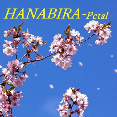 アルバム/HANABIRA - Petal/TandP