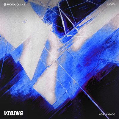 アルバム/Vibing/Rob Laniado