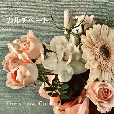 あじさいが咲いてた (New Mix)/She's Lost Control