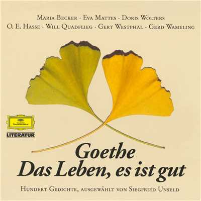 シングル/Leben liebt/Doris Wolters