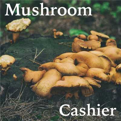 アルバム/Mushroom/Cashier