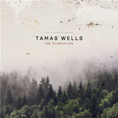 A Reason Not to Stay/Tamas Wells