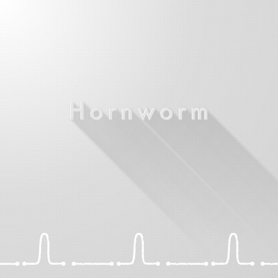 シングル/Hornworm/Take8