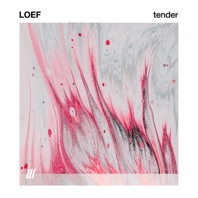 シングル/TENDER/LOEF