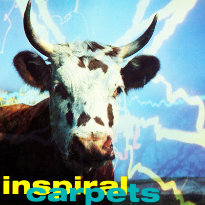 Commercial Reign/Inspiral Carpets