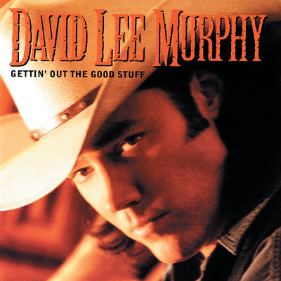 She's Really Something To See/David Lee Murphy