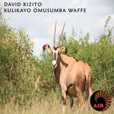 シングル/Katonda Ne Uganda/David Kizito