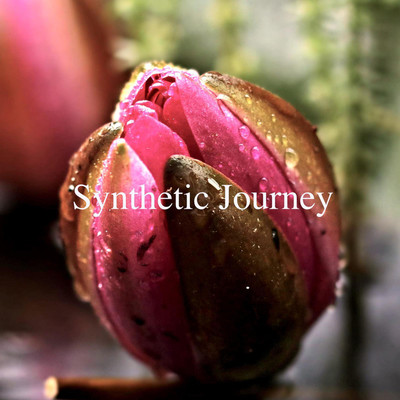 Synthetic Journey/Minami Lano