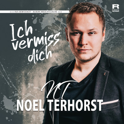 シングル/Ich vermiss dich/Noel Terhorst