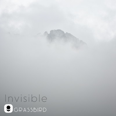 invisible/grassbird