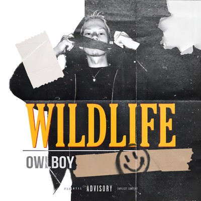 WILD LIFE/OwlBoy