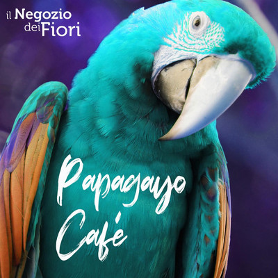 Papagayo Cafe/Il Negozio Dei Fiori