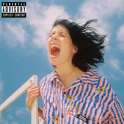 Inside Voices/K.Flay