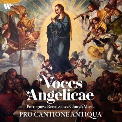 アルバム/Voces angelicae. Portuguese Renaissance Church Music/Pro Cantione Antiqua
