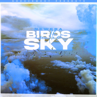 シングル/Birds In The Sky (Mazza_l20 Remix)/NewEra