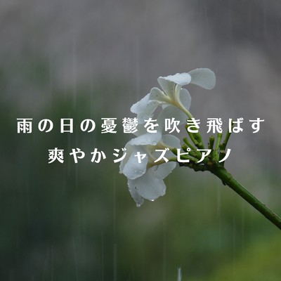 アルバム/雨の日の憂鬱を吹き飛ばす爽やかジャズピアノ/Eximo Blue