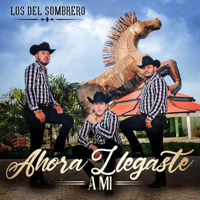 シングル/Ahora Llegaste a Mi/Los Del Sombrero