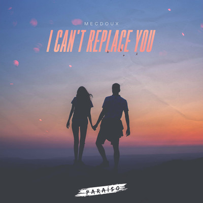 I Can't Replace You/Mecdoux