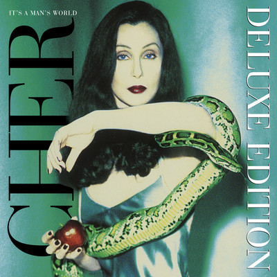 Not Enough Love in the World (2023 Remaster)/Cher