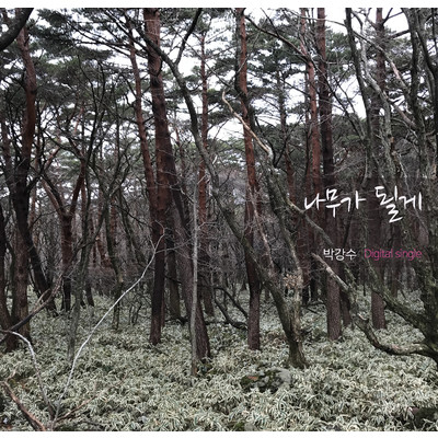 シングル/become a tree/Park Kang Soo