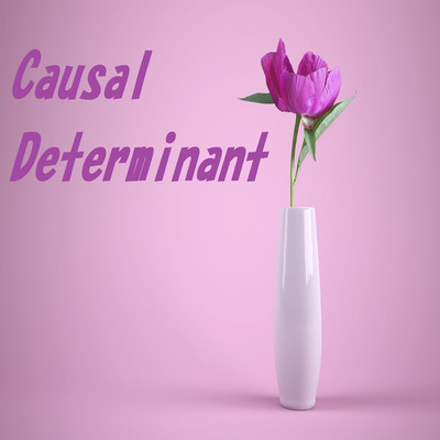 アルバム/Causal Determinant/Agnosia fact