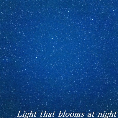 Light that blooms at night/TandP