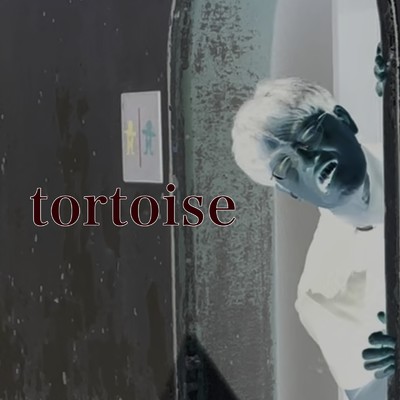tortoise/おてじさん