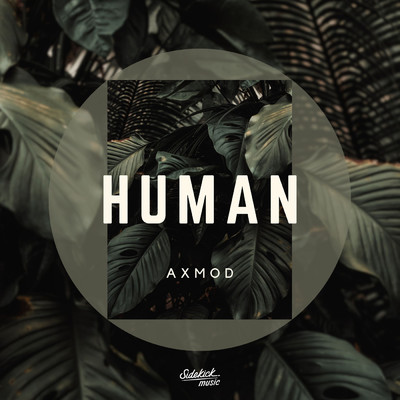 シングル/Human/Axmod