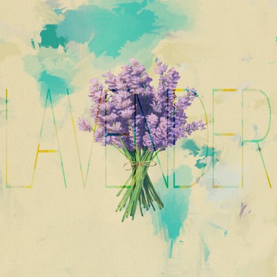 Lavender/高平典