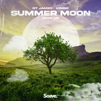 シングル/Summer Moon (Sped Up)/DT James & Kimbo
