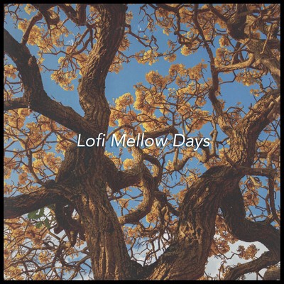 Lofi Mellow Days/lofichill